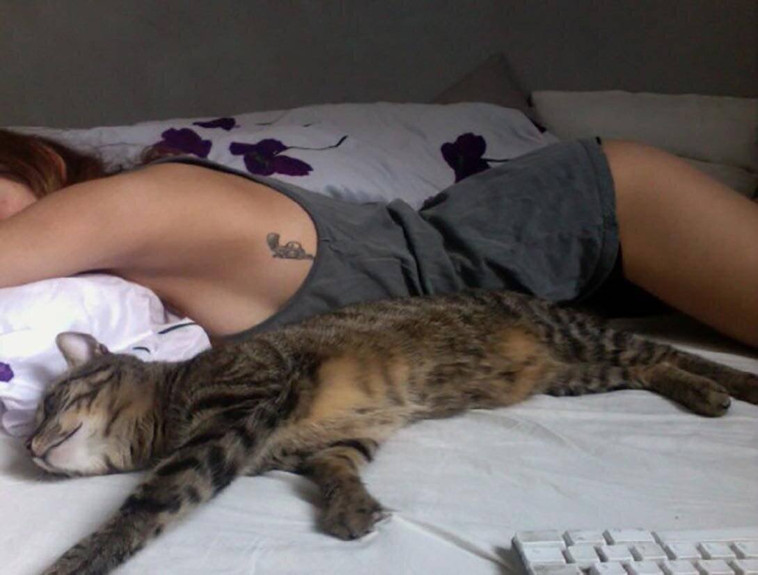 Полная киса. Девушка с котом. Девушка с котом на кровати. Девушка с котом в постели.