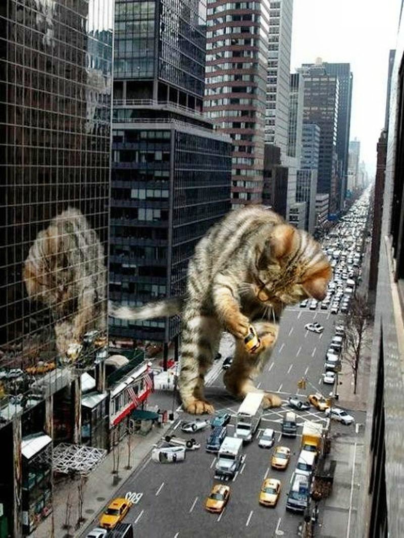 Мем самые опасные существа