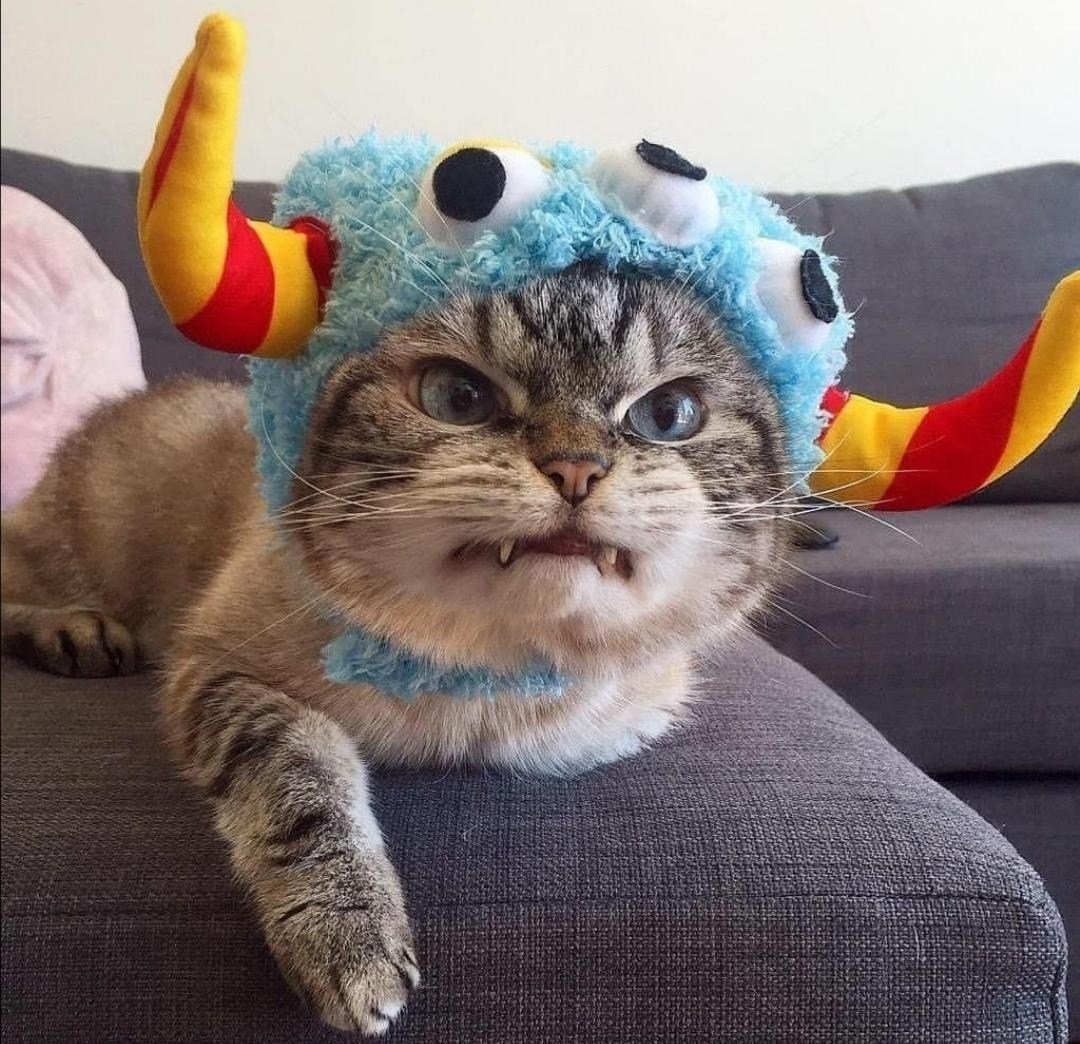 Махайрод Смилодон