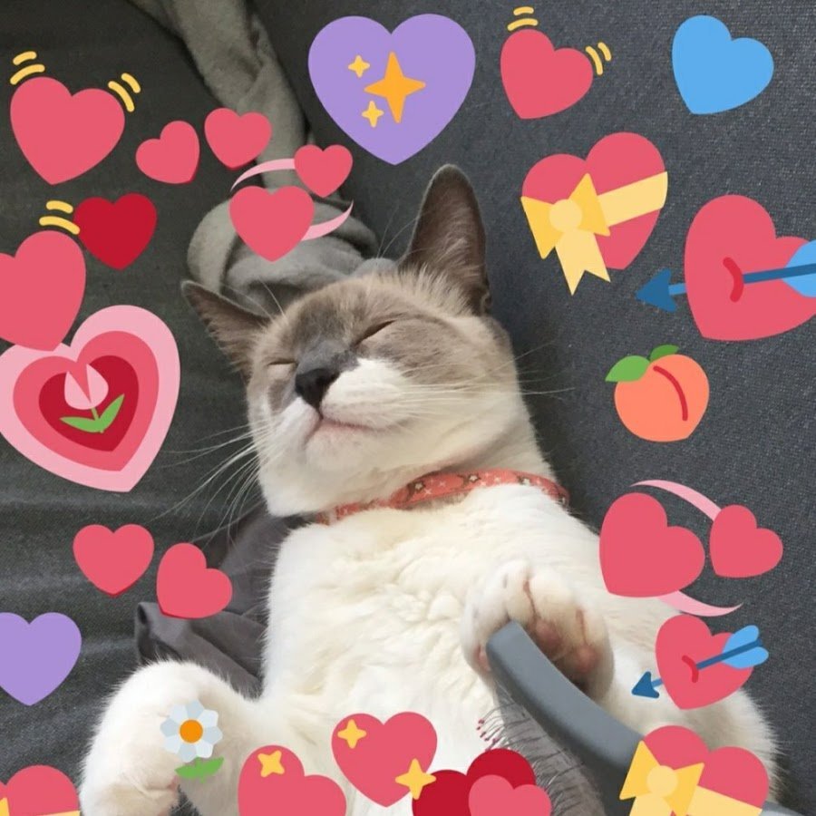 Кошка с сердечком