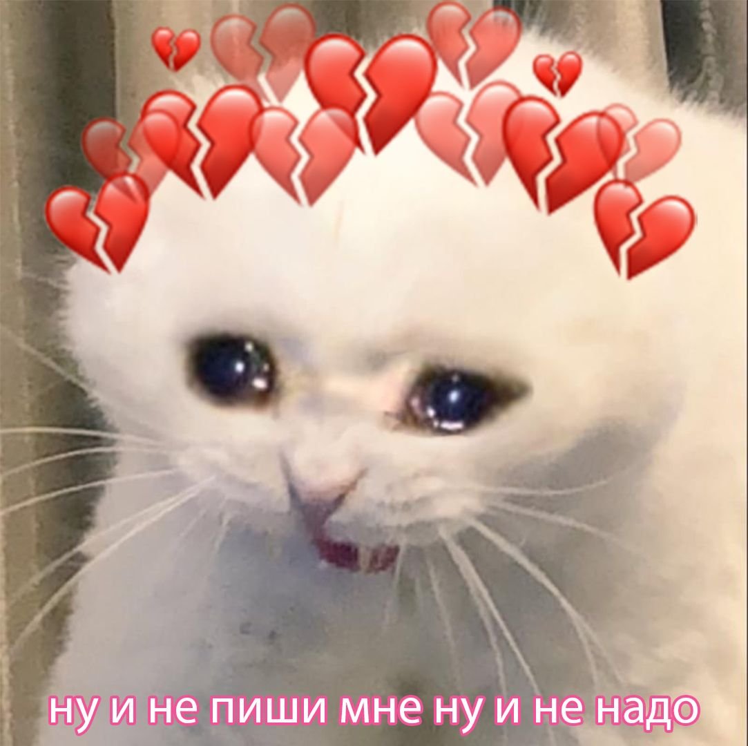 Котенок с сердцем