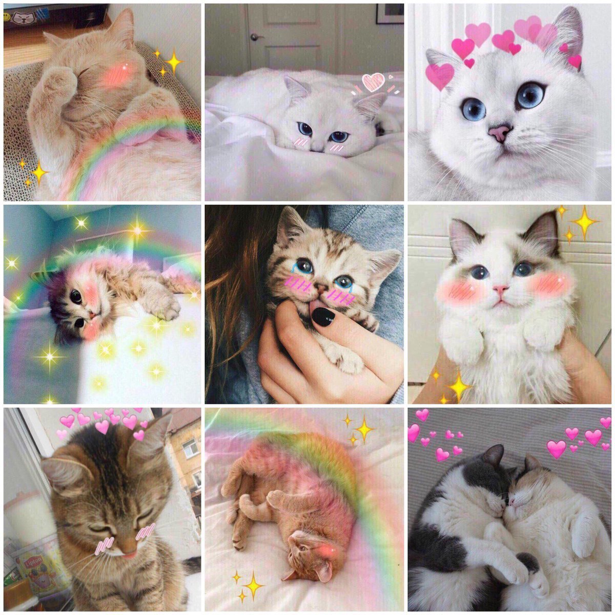 Милый котик сохраненки