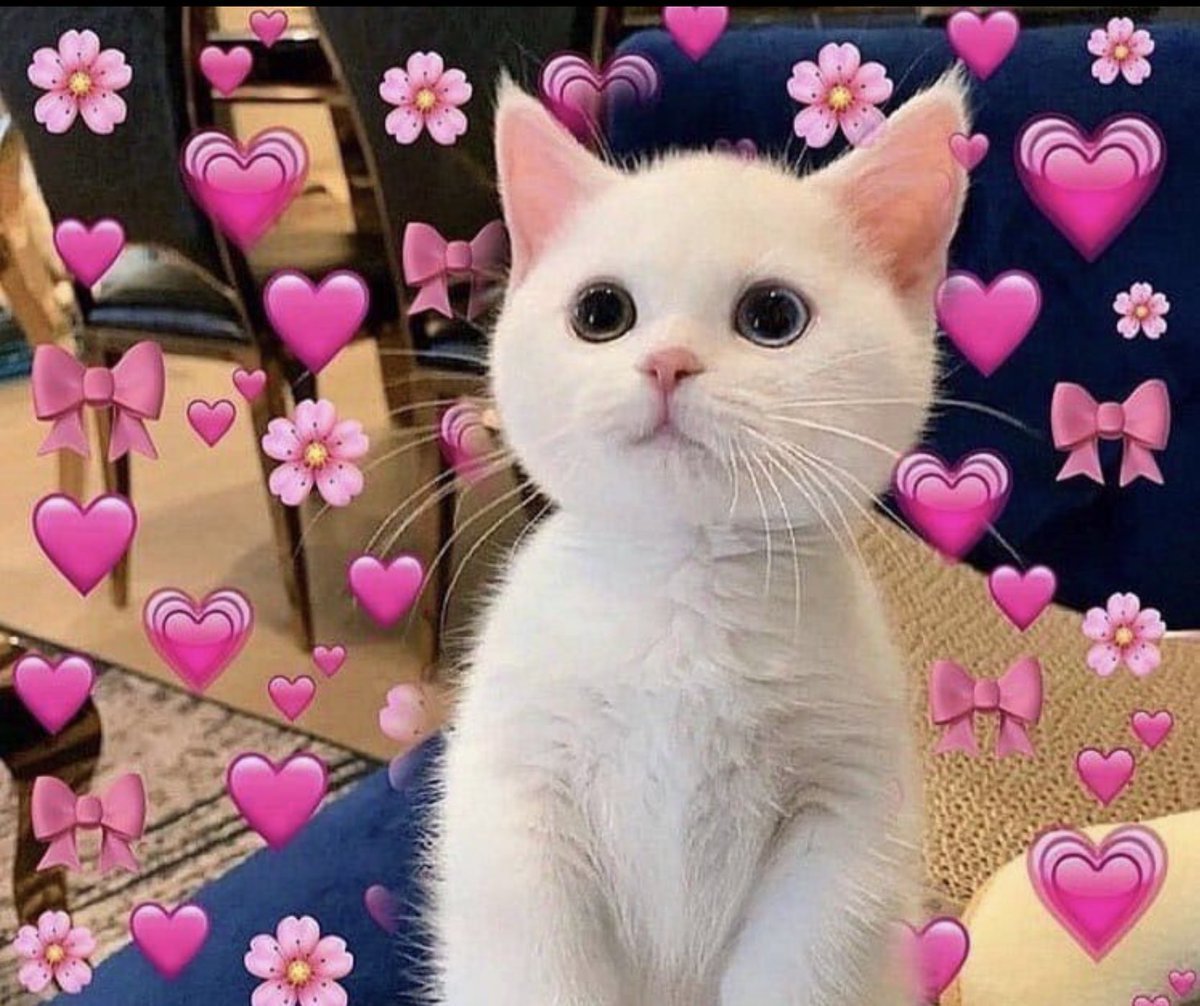 Милый кот с сердечками