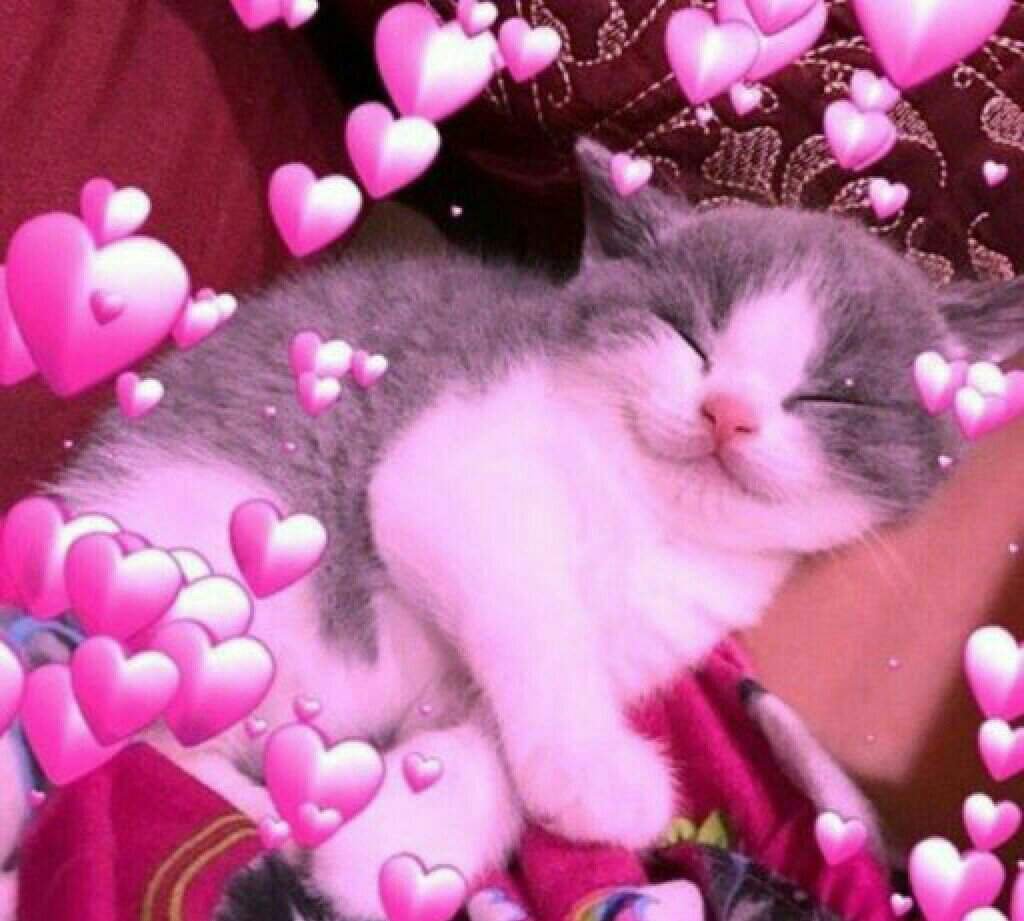 Милые фоточки с сердечками