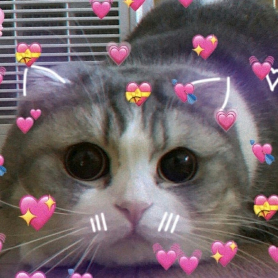 Милый котик с сердечками