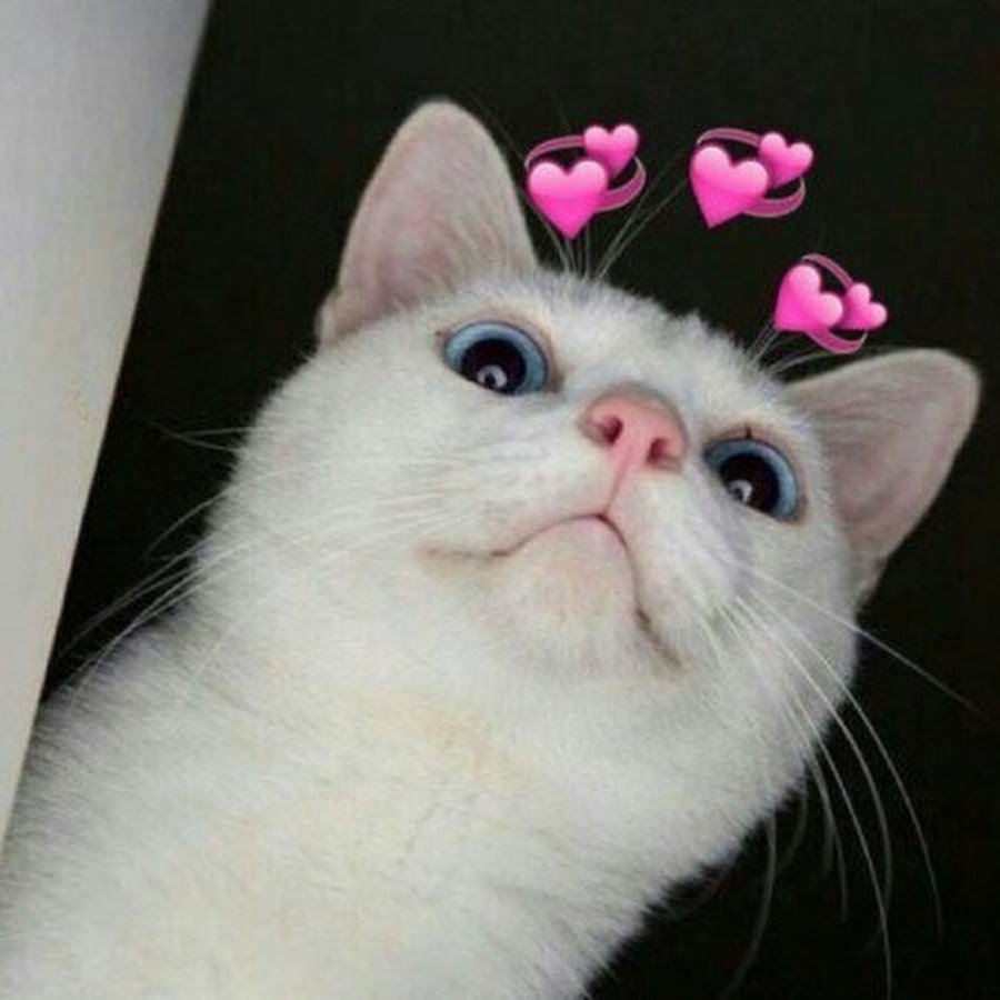 Кошечка с сердечком