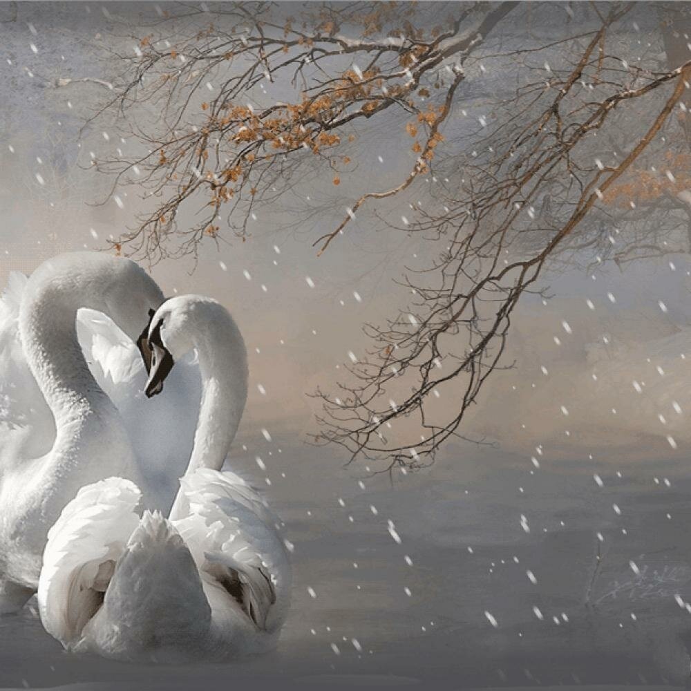 Зимняя нежность