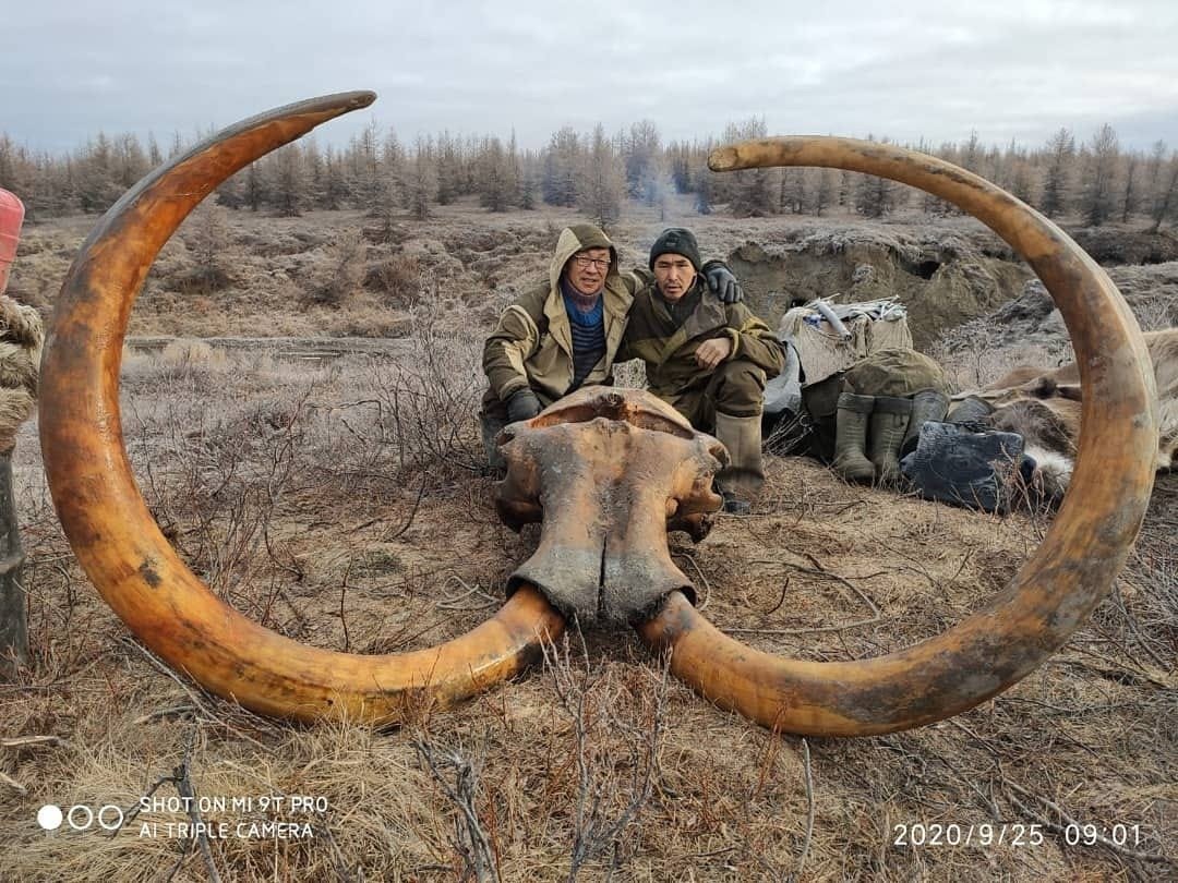 Angler Fish рыба