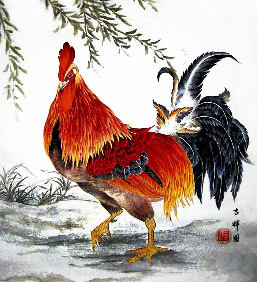 Голландский петух птица