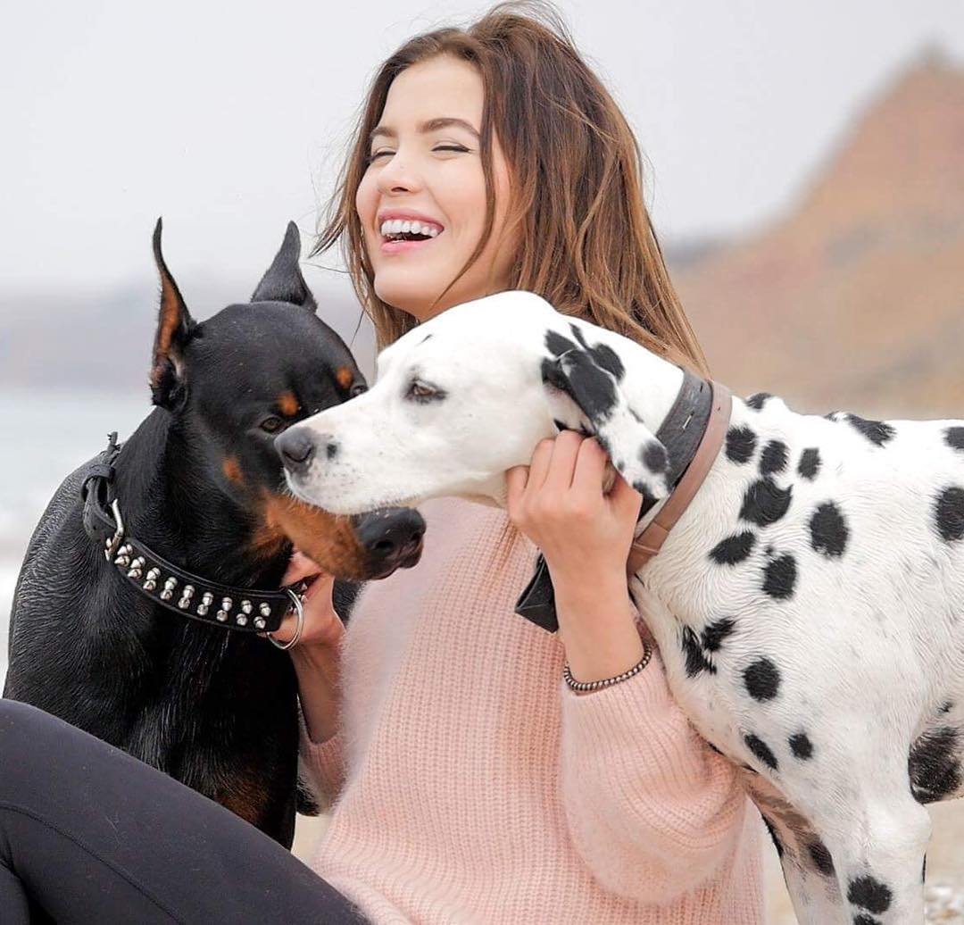 Далматин собака