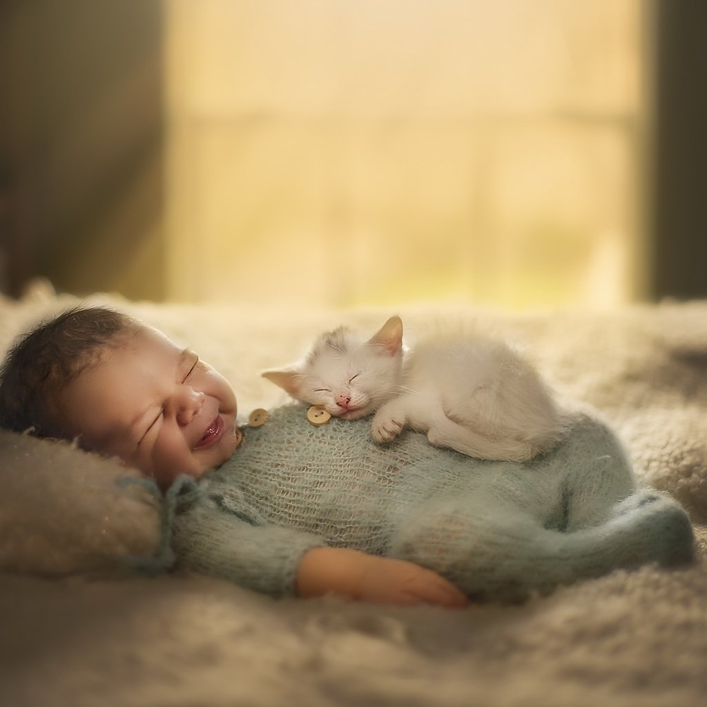 Для малышей (котенок)