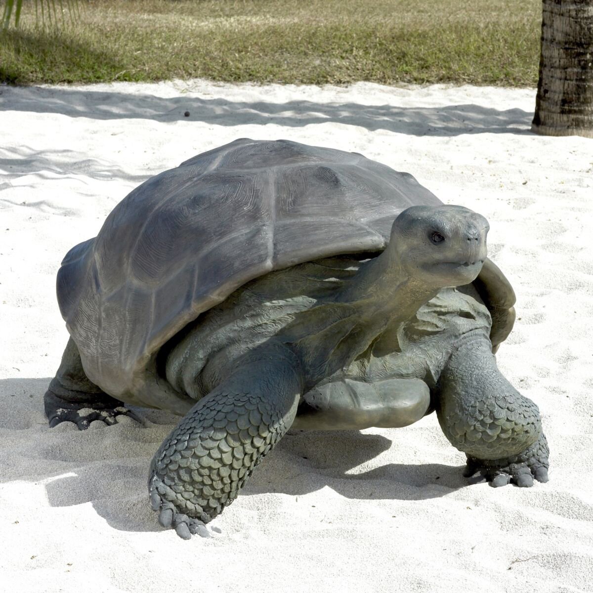 Галапагосские черепахи интересные факты