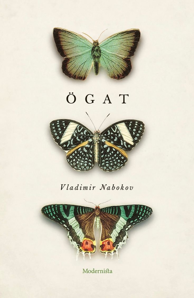 Бабочки из пинтереста