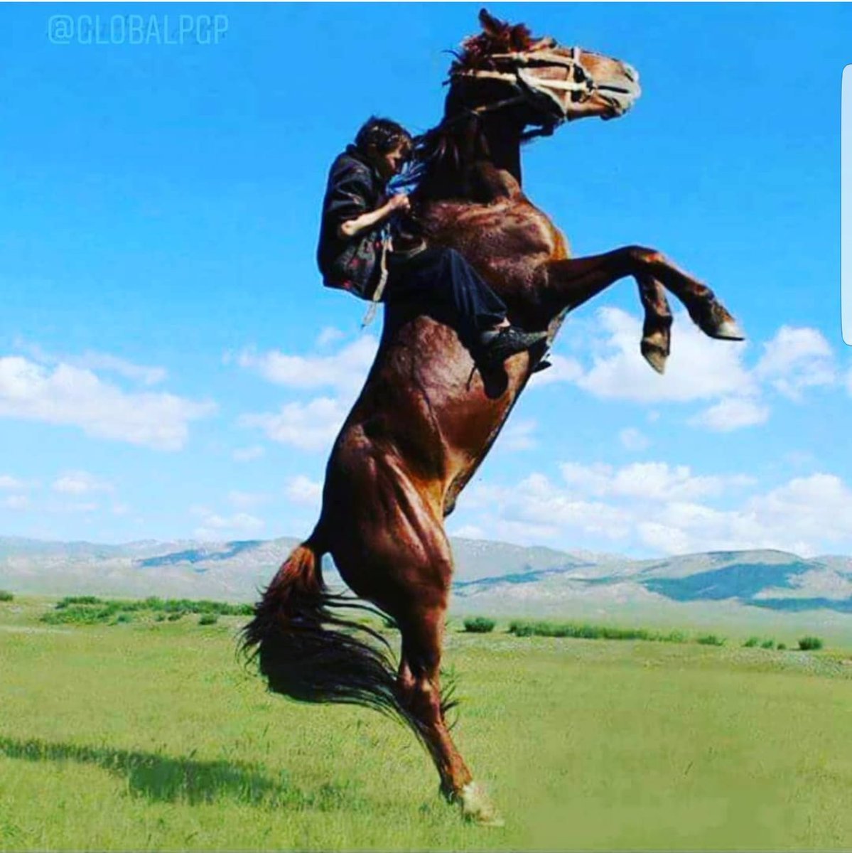 Казахский всадник