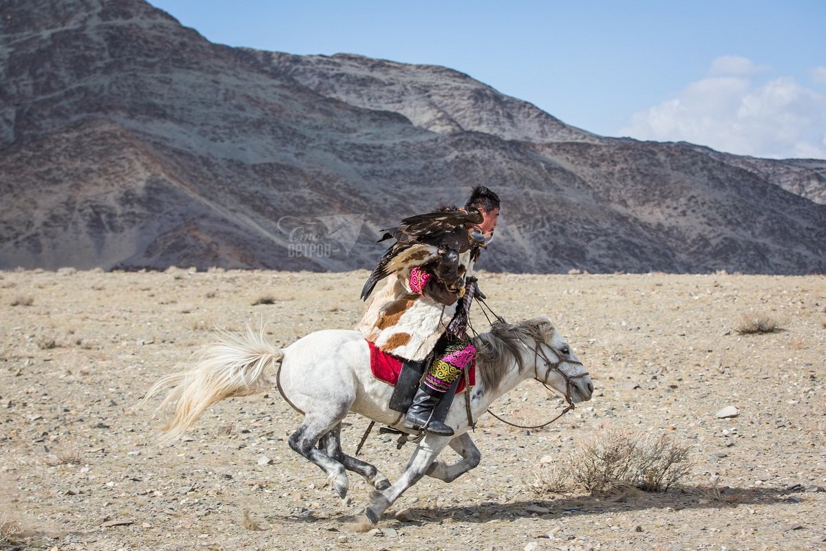 Западные казахи