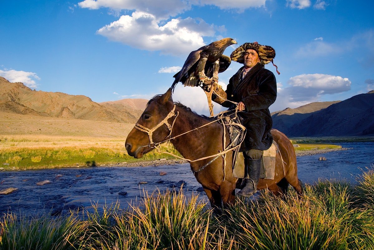 Казахский конь