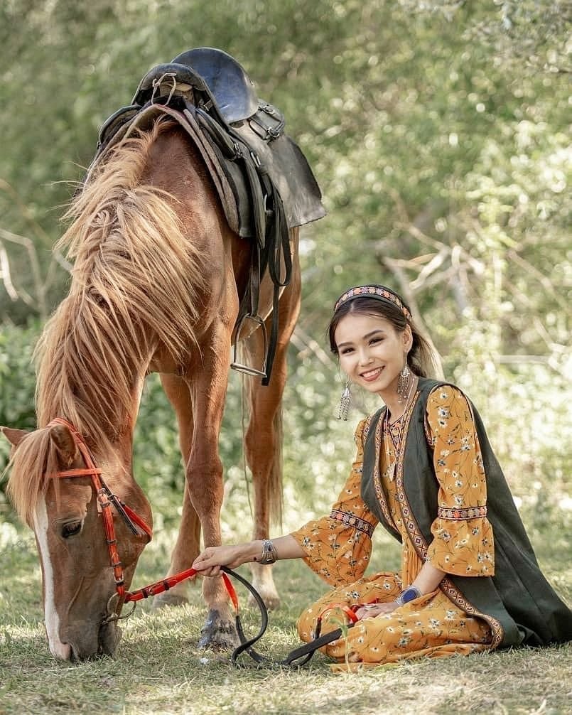 Монгольская порода лошадей