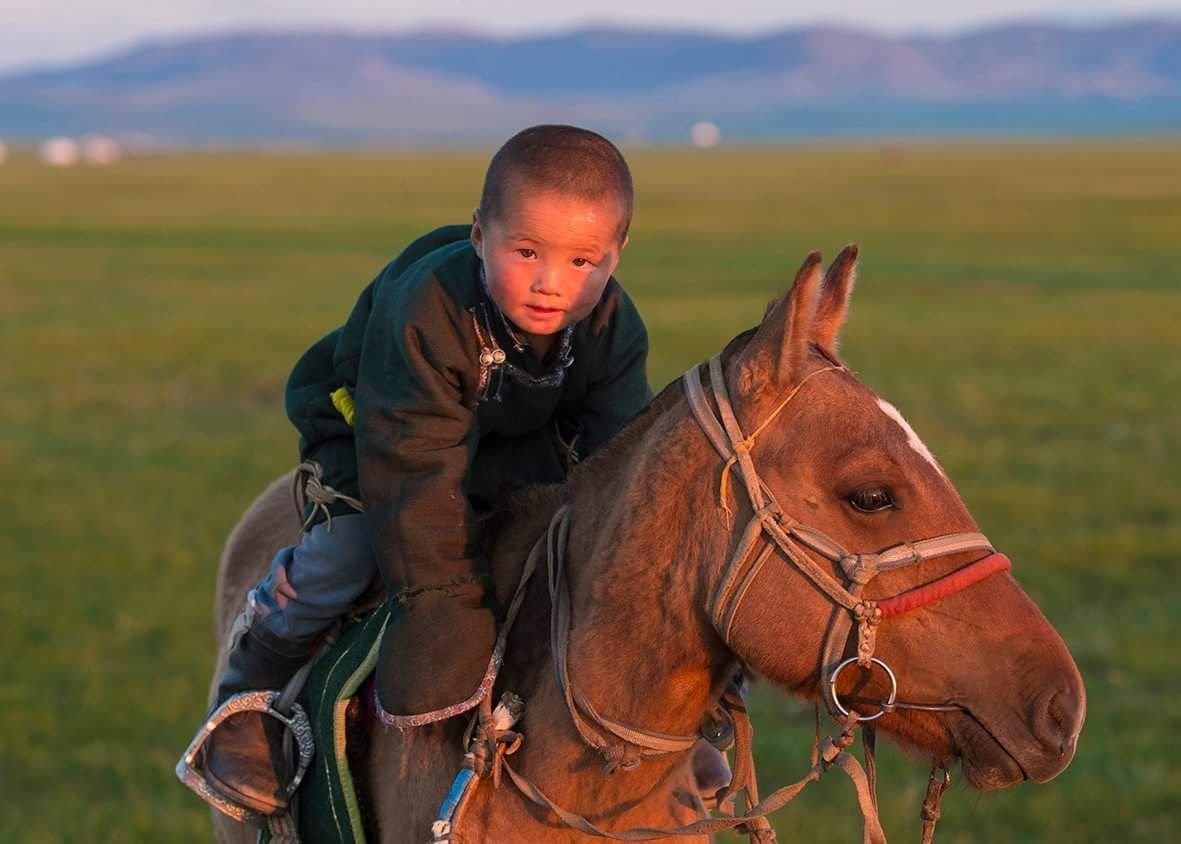 Беркут Монголия