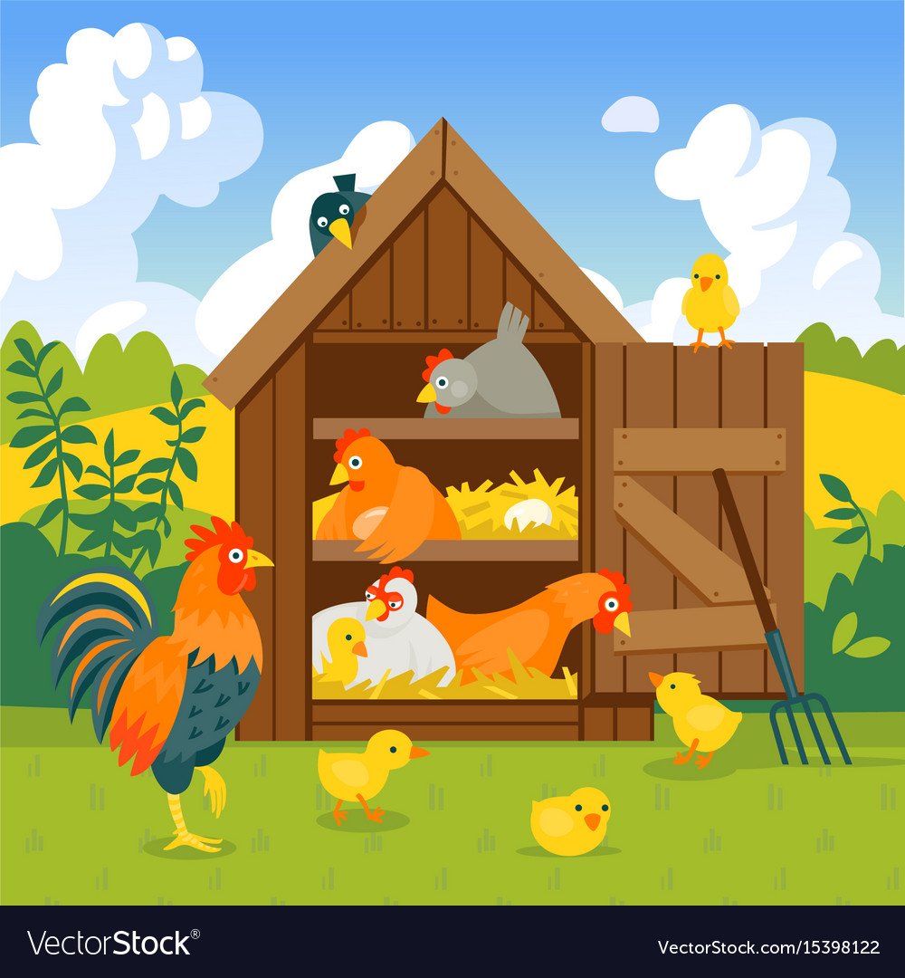 Насесты для 10 кур несушек