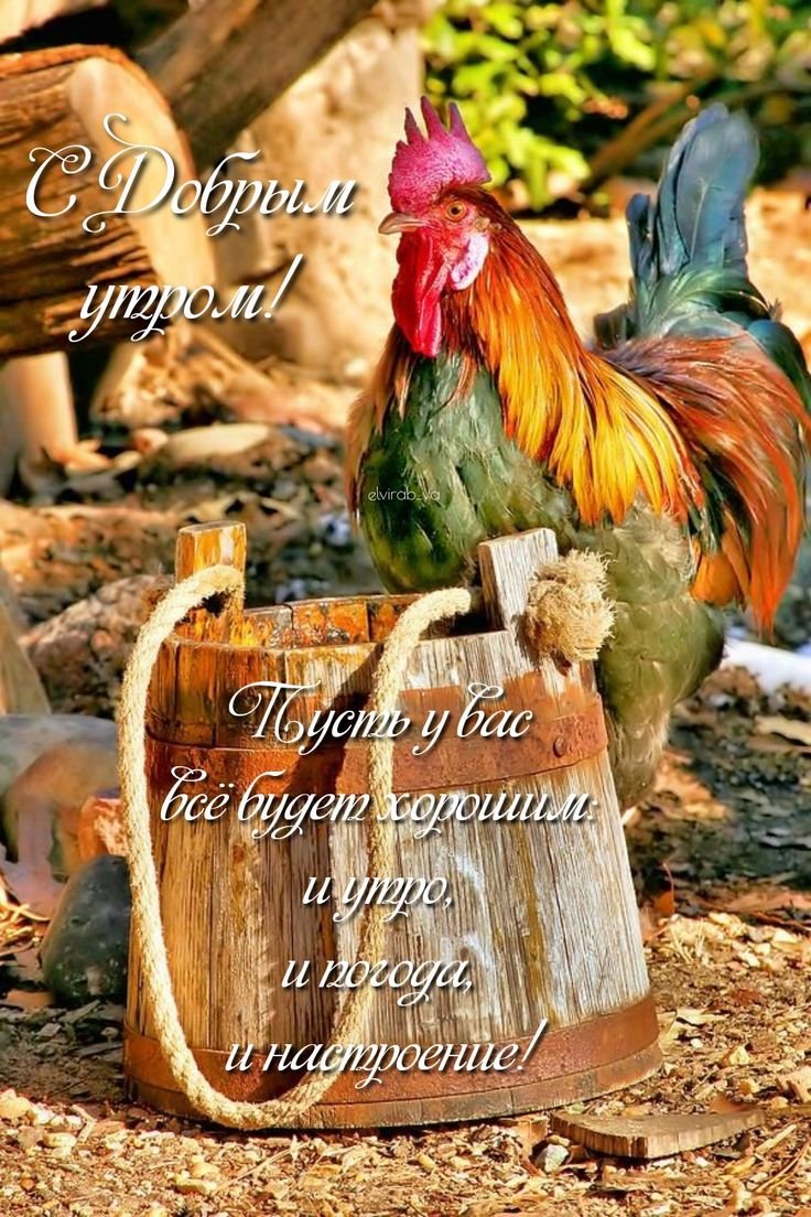 Курятник для детей