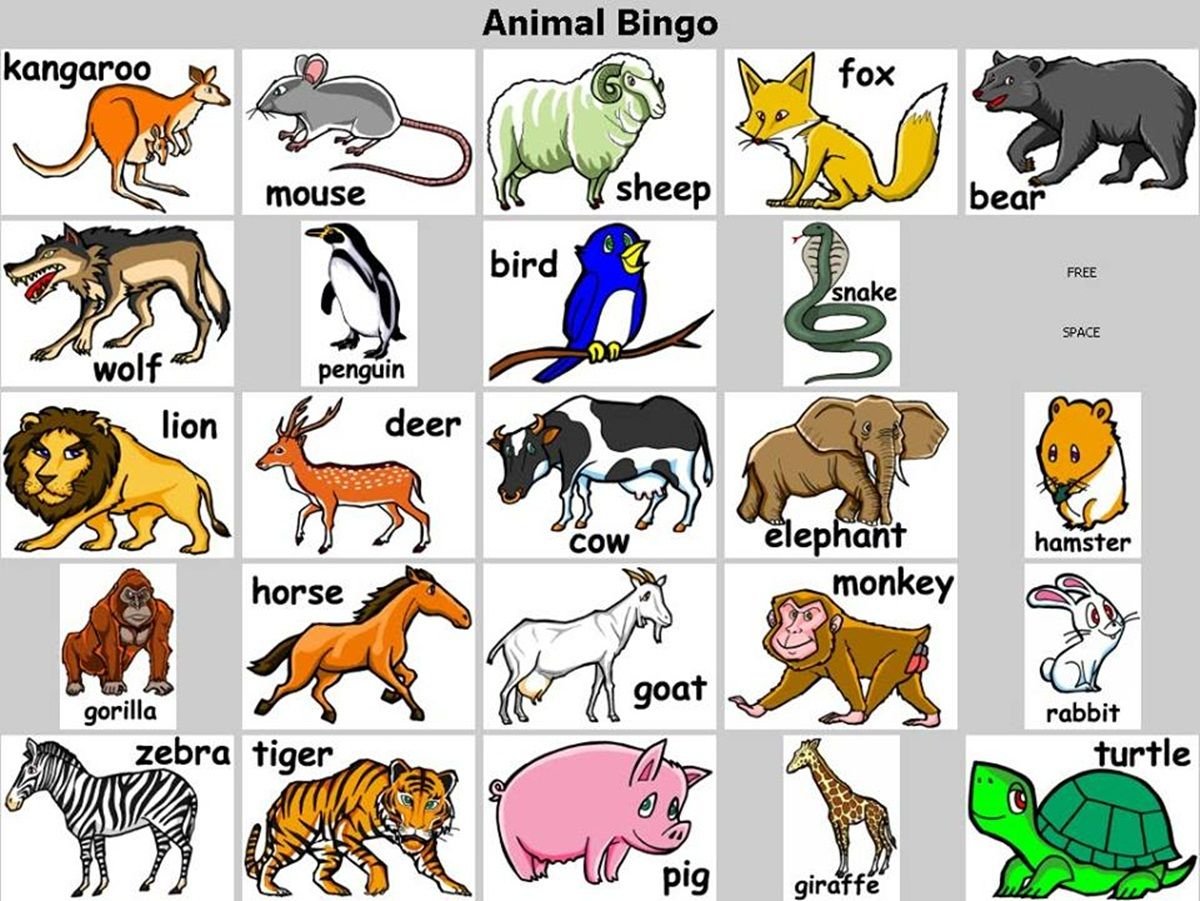 Английский язык животные игра. Животные на английском. Животные нкаанлийском. Тема животные на английском. Животные на английском языке для детей.
