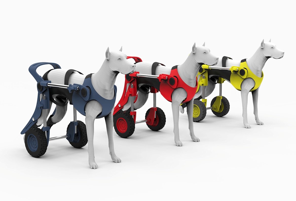 Собака без лап на колесах