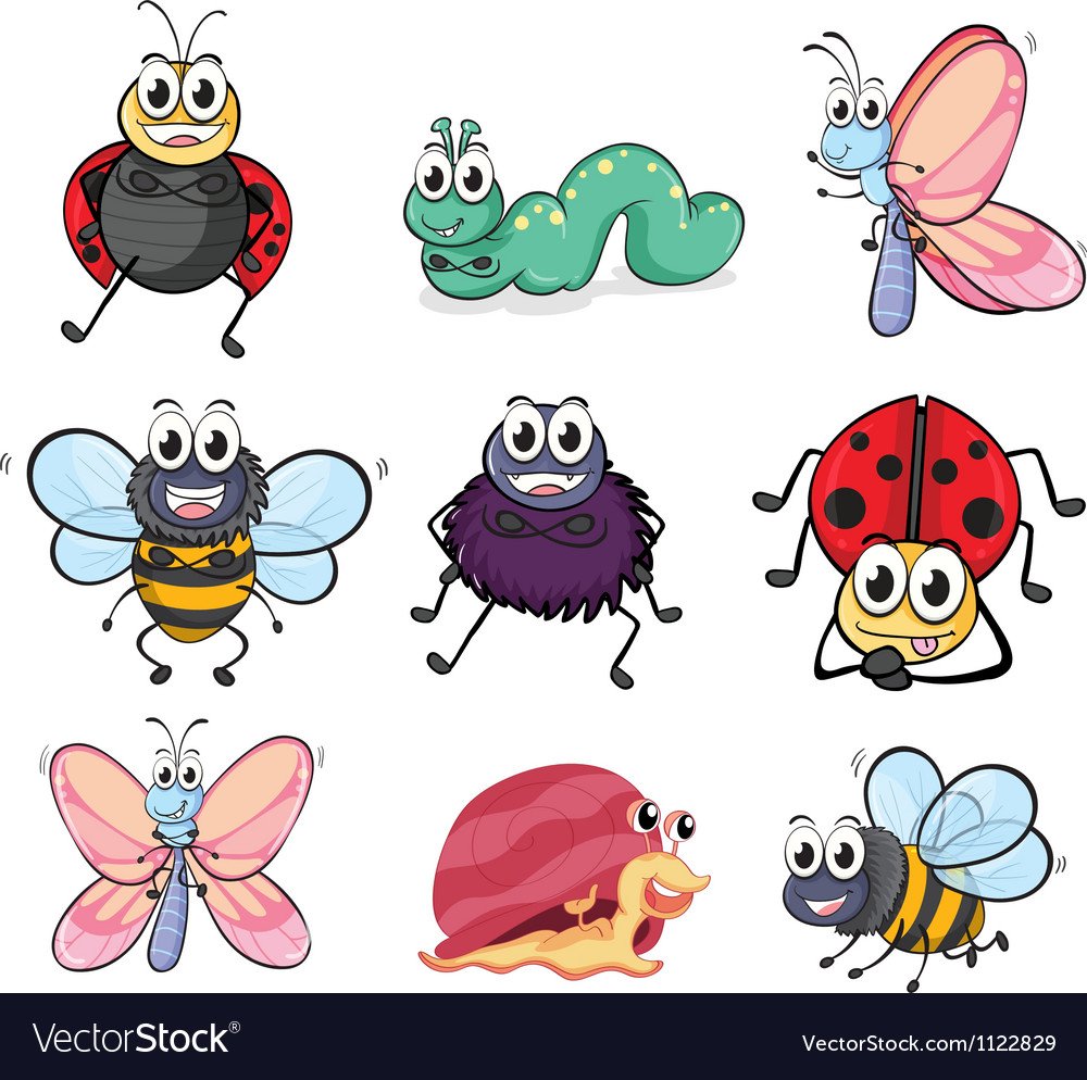 Картинки насекомых для детей цветные