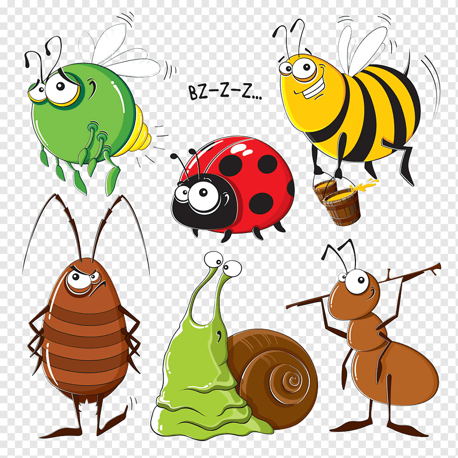 Гусеница бабочки-мегалопигида