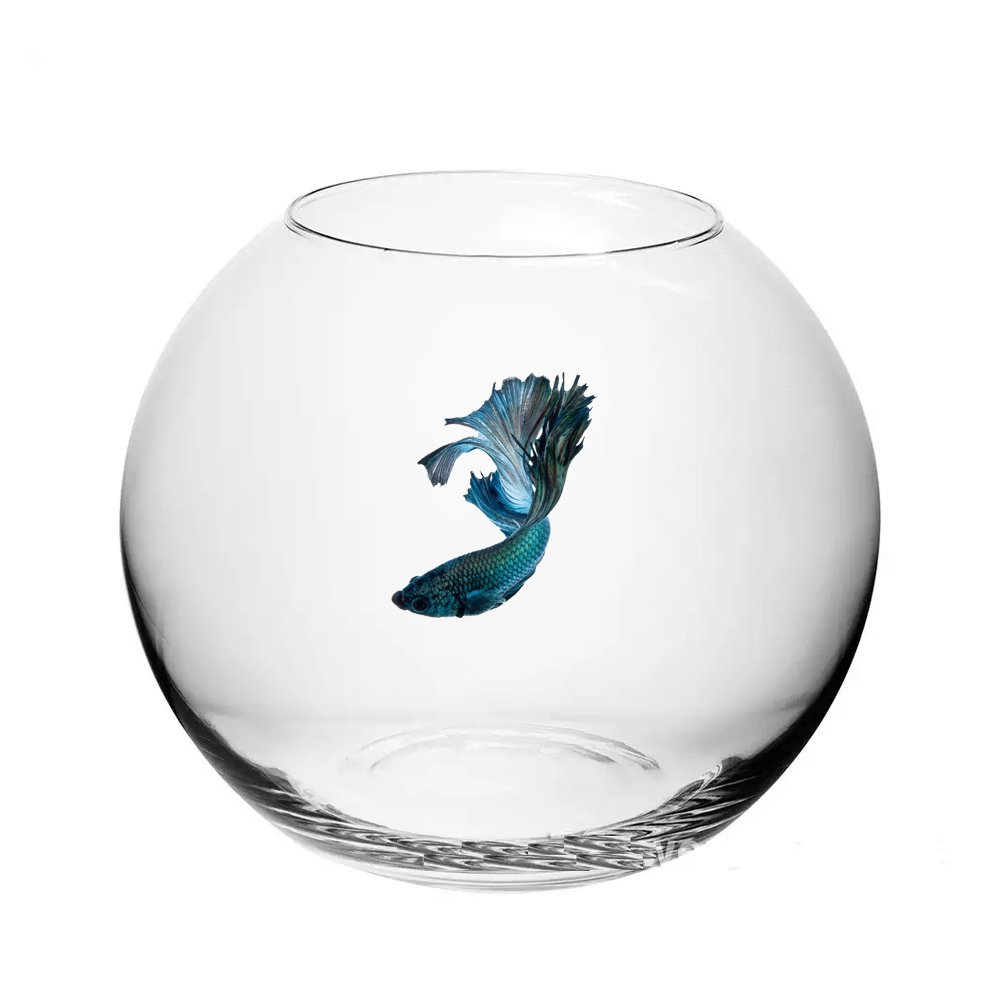 Морская рыбалка в Калининграде