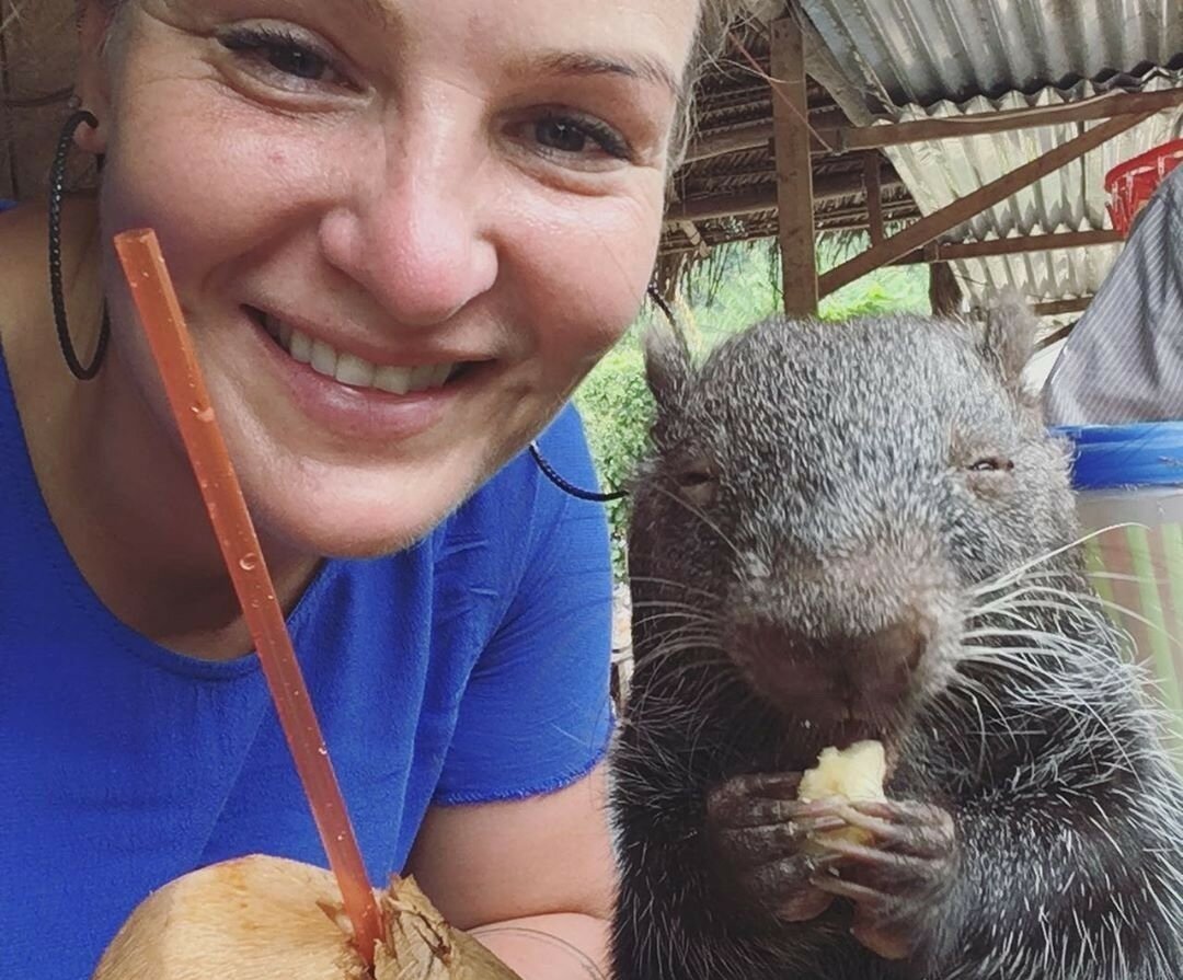 Тушканчик карликовый Гептнера