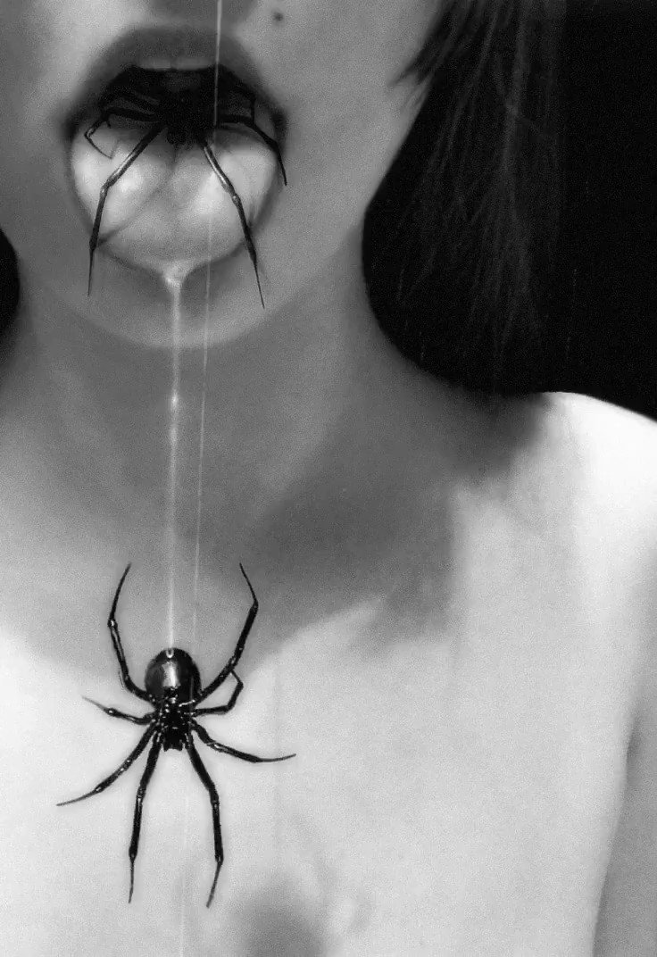 Паук вблизи