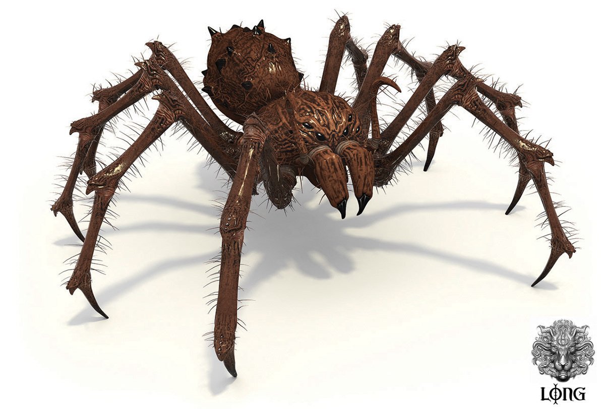 Реалистичный паук