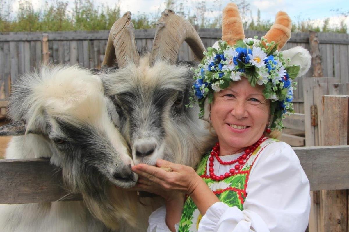 Музей козы дерезы в Твери