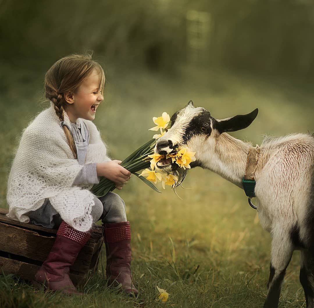 Козленок для детей