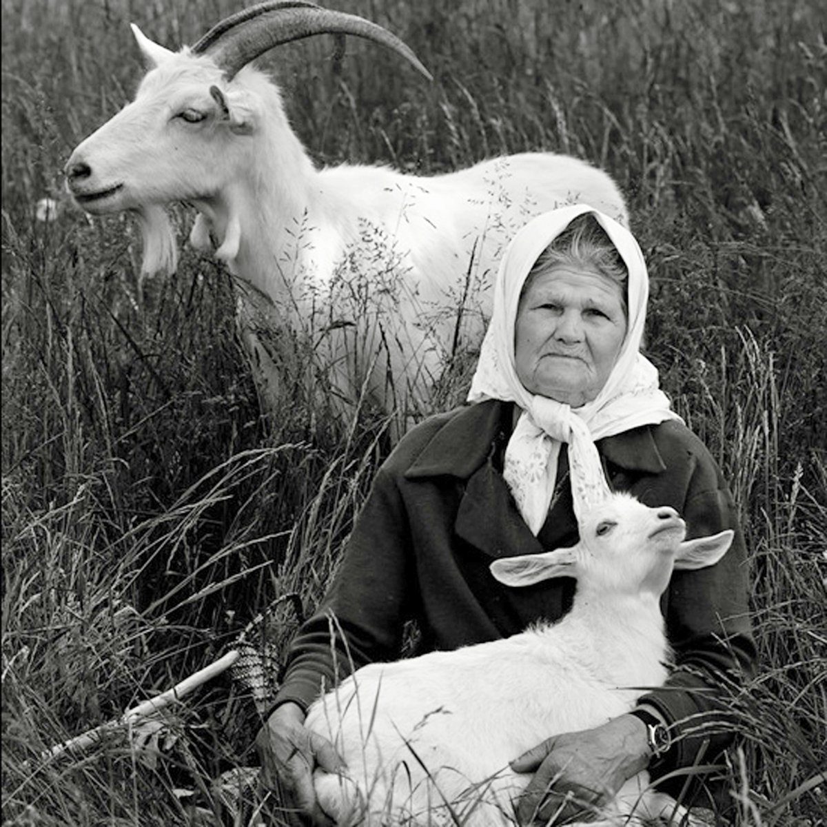 Фотосессия с козленком на природе