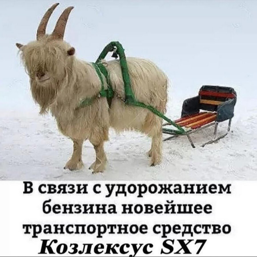 Новейшее средство козлексус, в связи с удорожание бензина