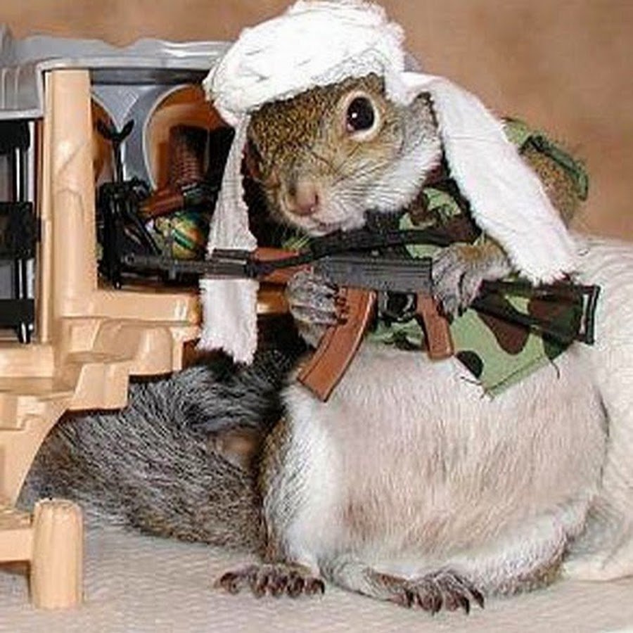 Хомяк террорист