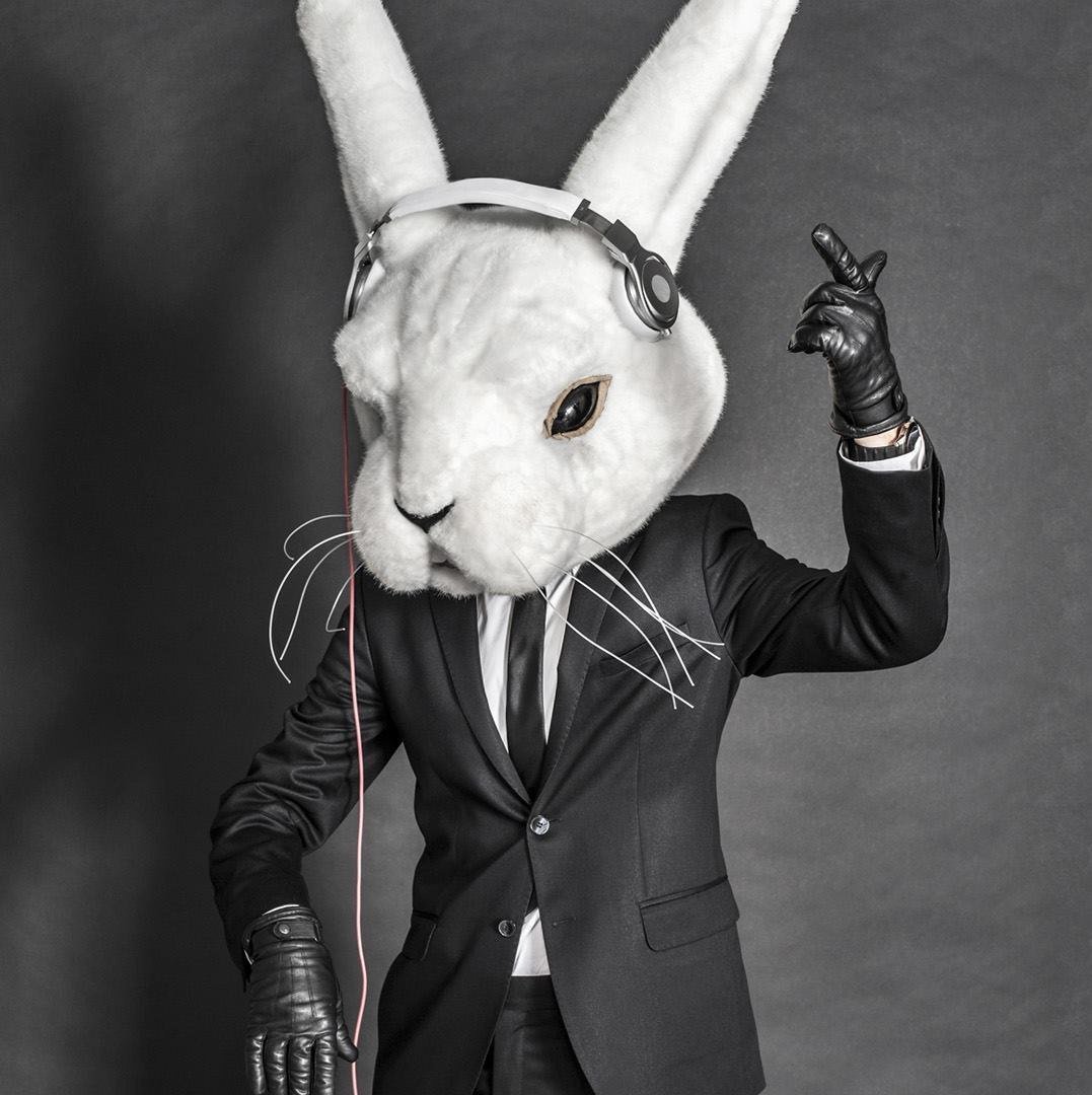 Крутой заяц