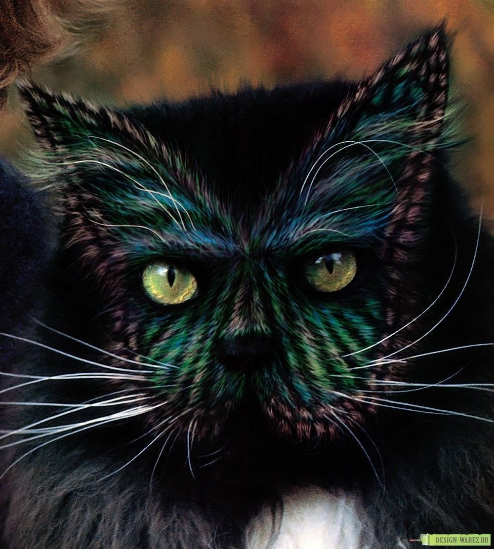 Самые необычные коты