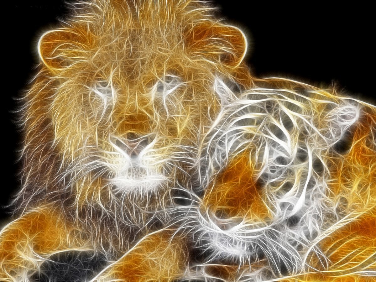 Заставка Лев и тигр