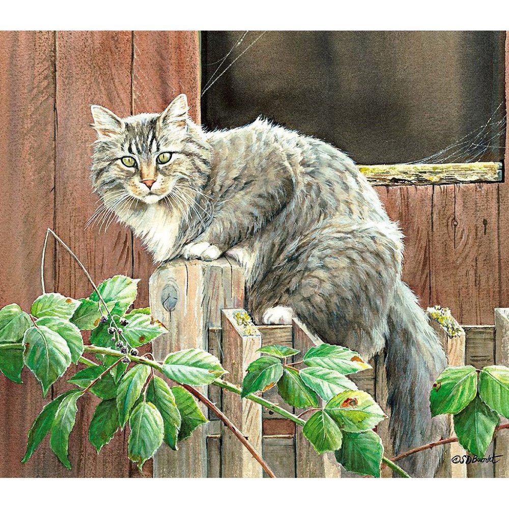 Художник Susan Bourdet