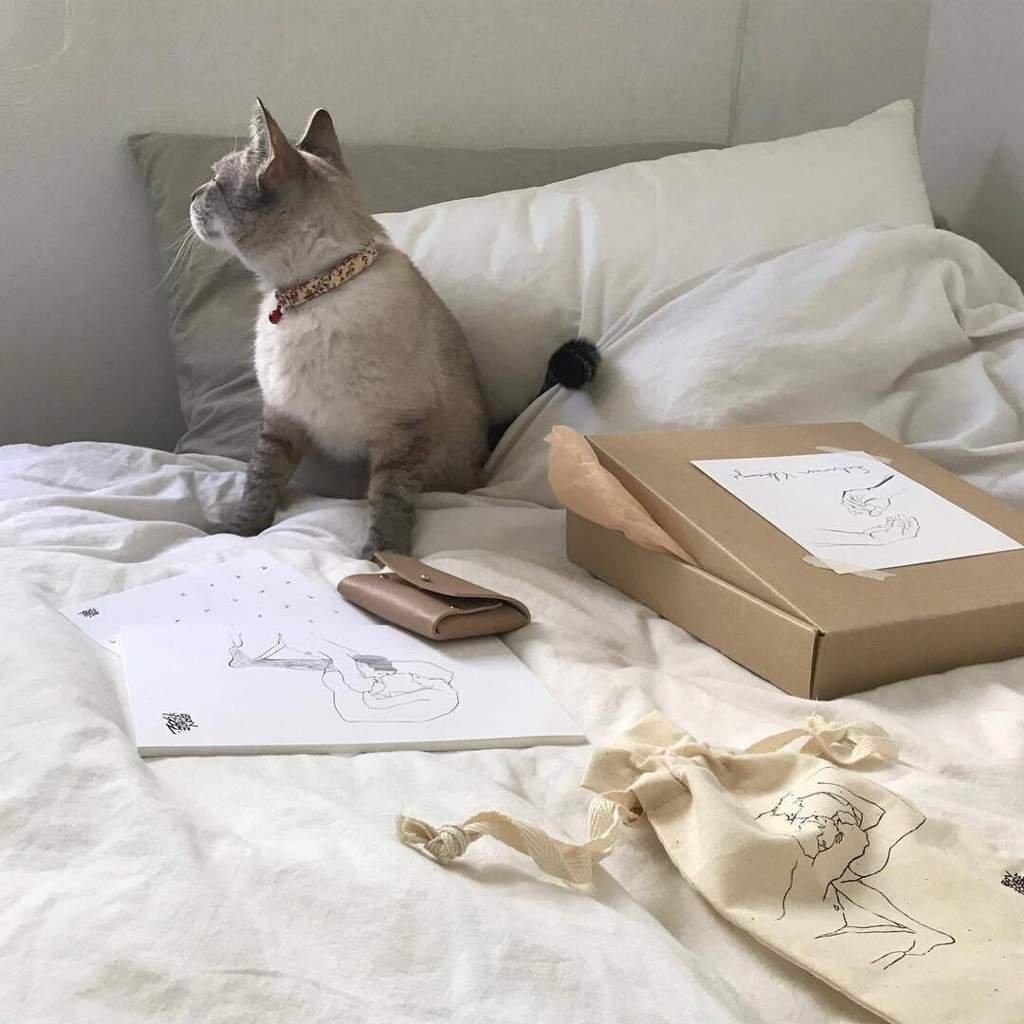 Котики Эстетика бежевый