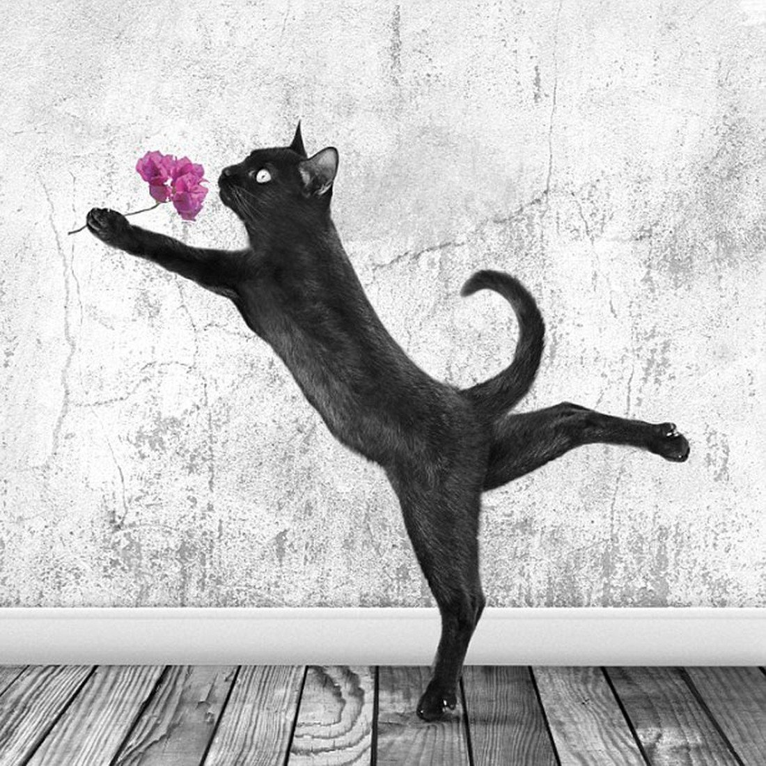 Грациозная кошка