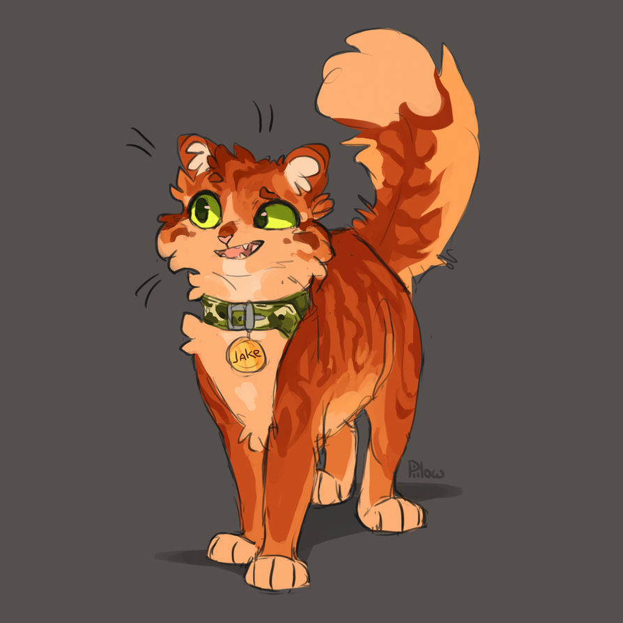 Коты Воители Джейк