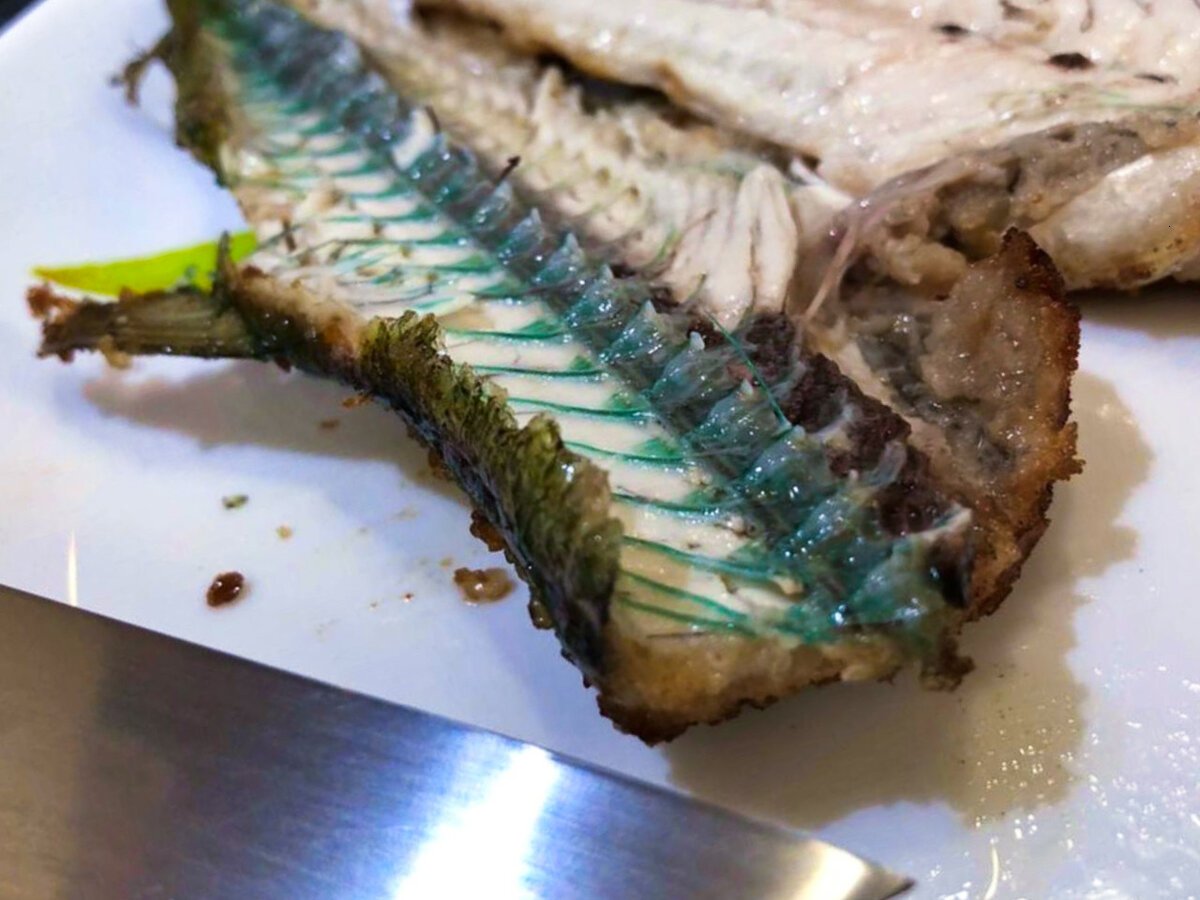 Сарган рыба