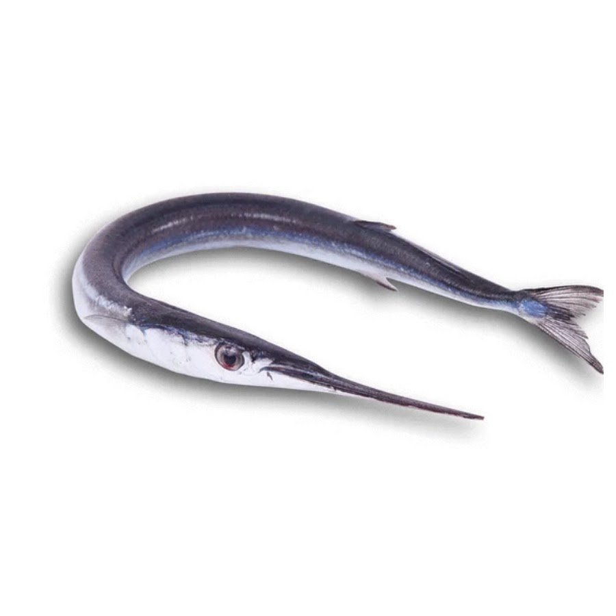 Сарган на белом фоне