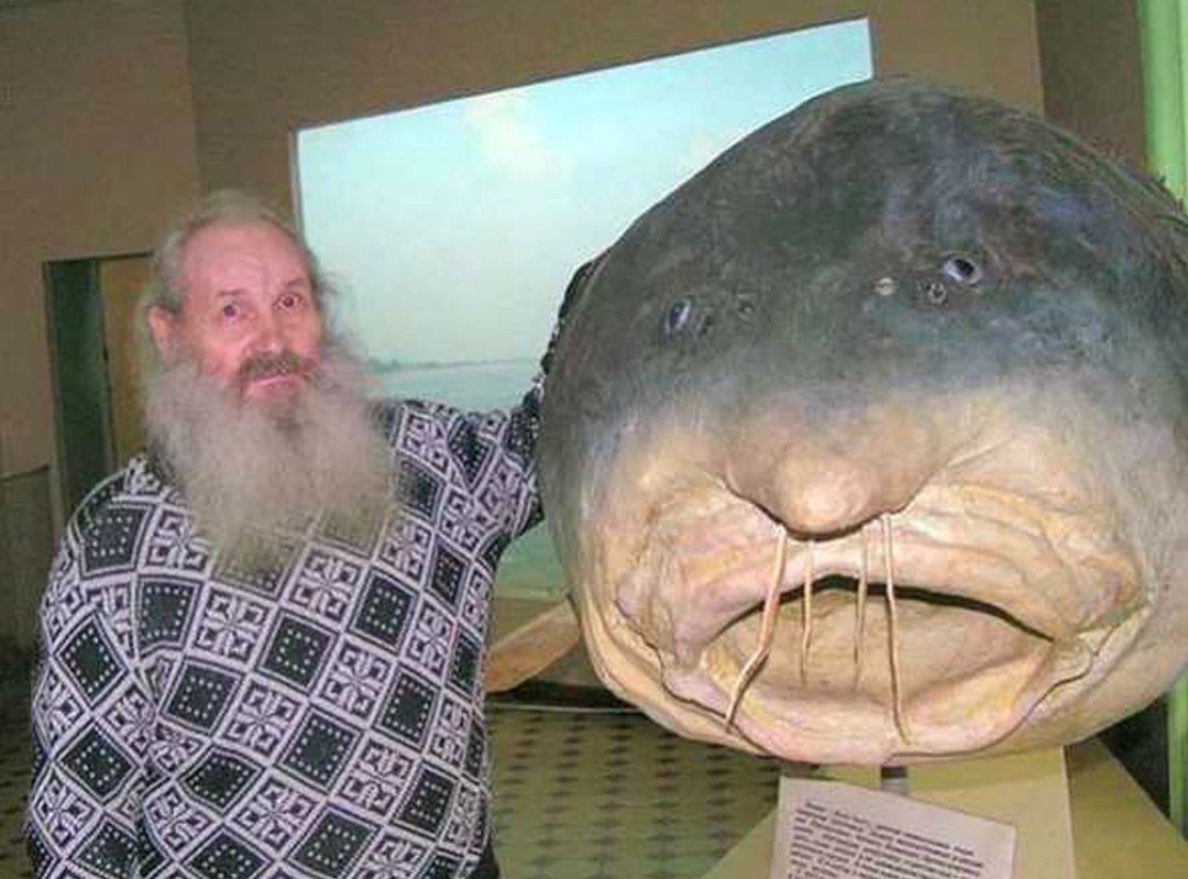 Упоротая рыба