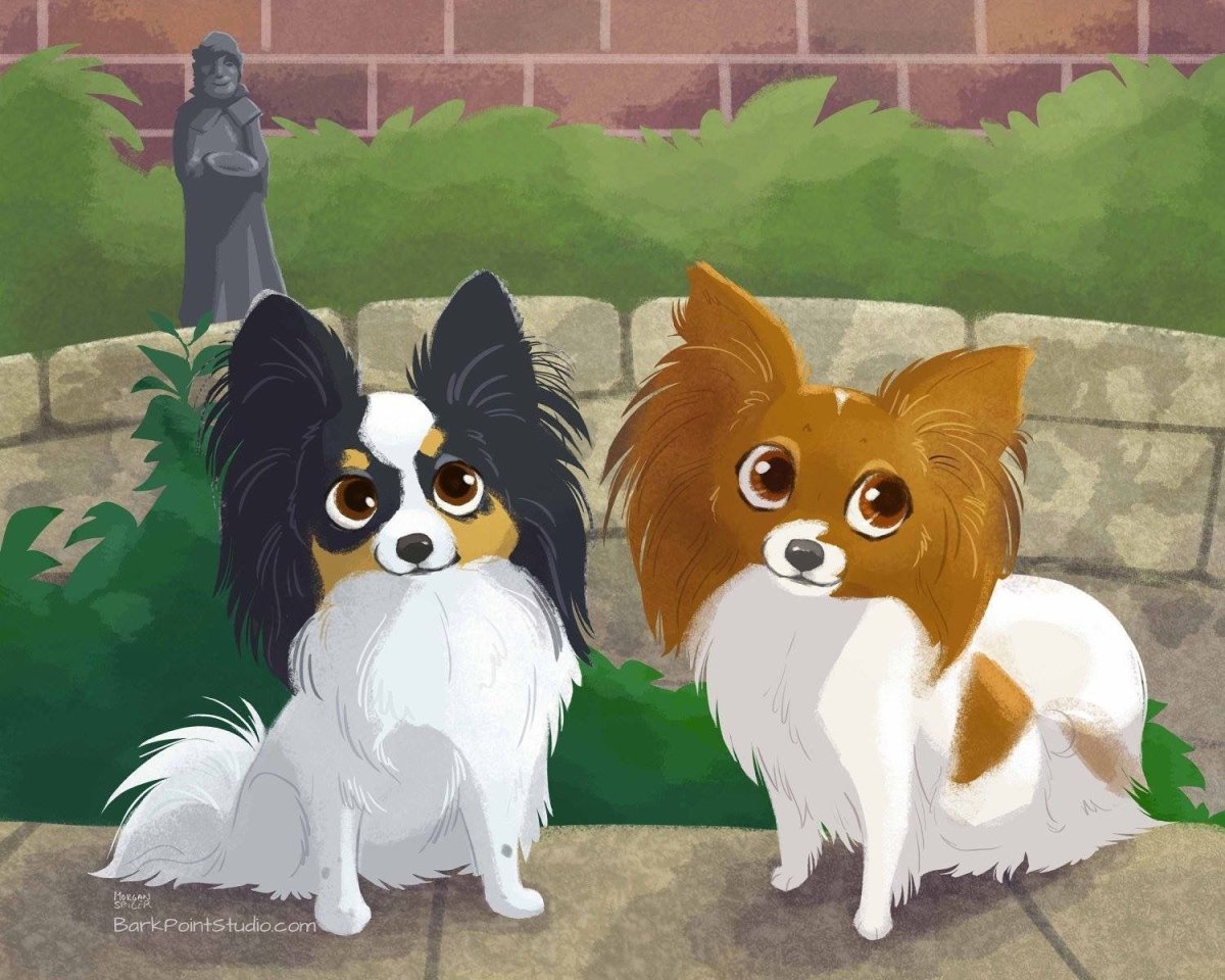 Фото папильона