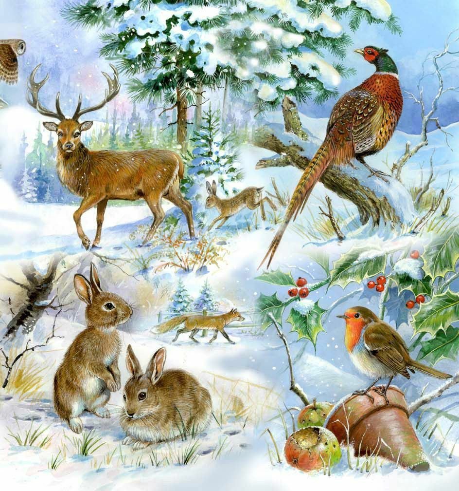 Картинки зима животные для оформления