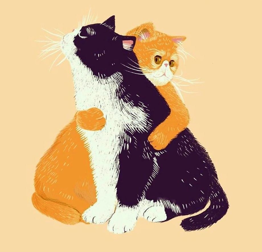 Разговор двух котов Постер